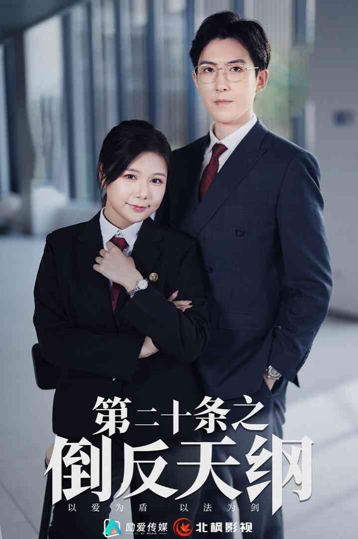 第二十条之倒反天纲