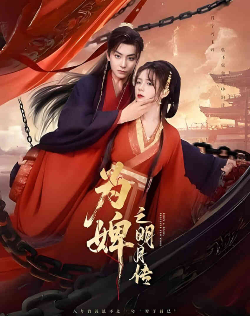 为婢之明月传