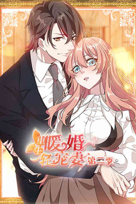 重生暖婚轻宠妻 第二季